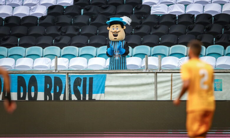 Mosqueteiro Tricolor, mascote do Grêmio