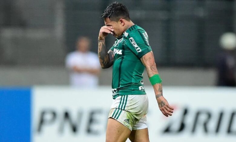 Palmeiras